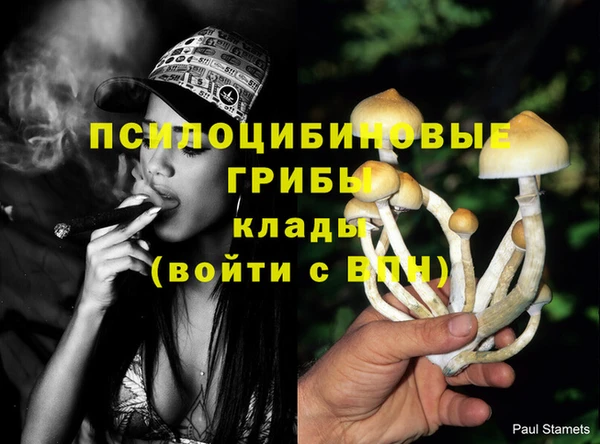 эйфоретик Бронницы