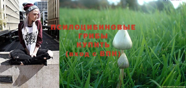 PSILOCYBIN Богданович