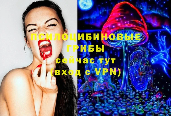 спайс Богородск