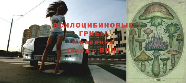 мдпв Бугульма