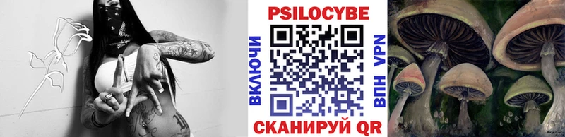 Купить закладки  Ленинск-Кузнецкий  Галлюциногенные грибы GOLDEN TEACHER 